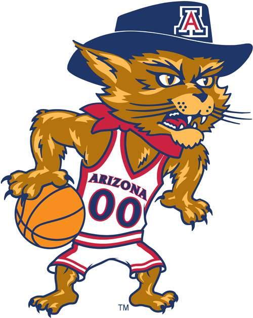 Arizona Wildcats 2003-Pres Mascot Logo v5 iron on transfers for clothing